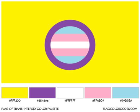 trans flag hex codes|intersex flag hex code.